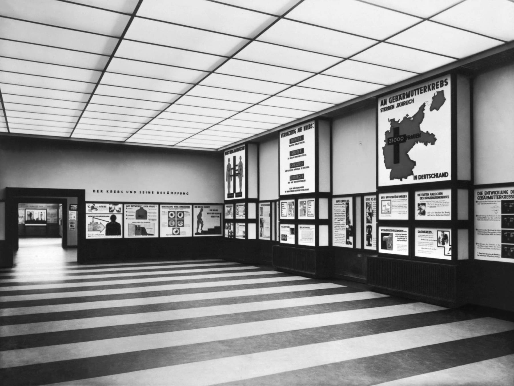 Fotografie. Ausstellungsansicht, schwarz-weiß, von 1930: Blick in die Abteilung „Kampf dem Krebs“ der Schausammlung des Deutschen Hygiene-Museums. Zu sehen sind verschiedene Schautafeln, die über Krebs informieren. 